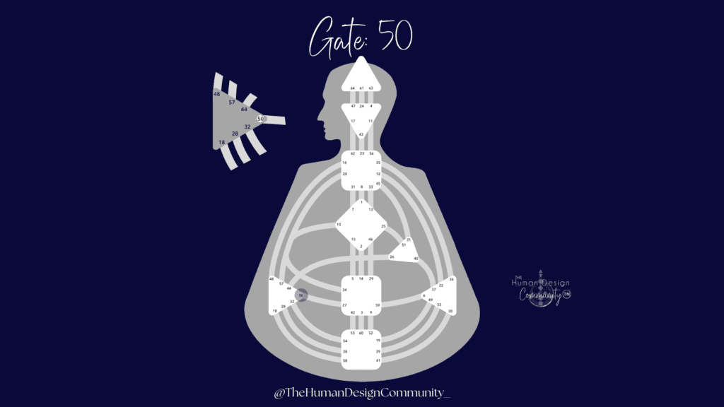 Human Design Gate 50, The gate of Values - bodygraph showing gate 50 located in the Splenic centre